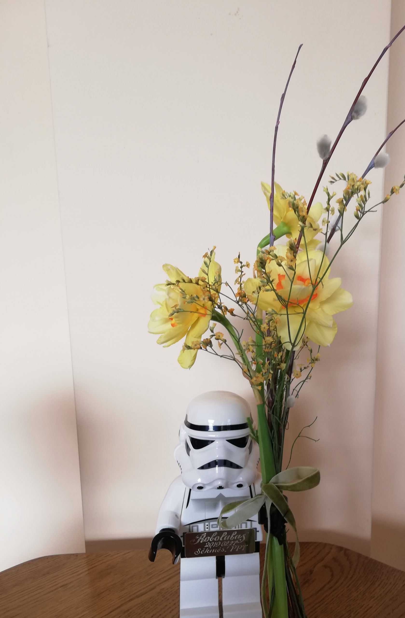 IMG 20190227 115113