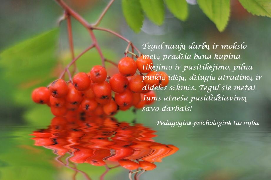 ppt998